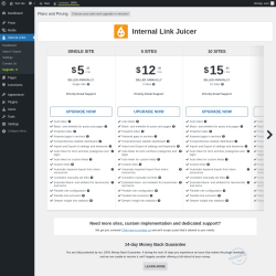 Page screenshot: Internal Links → Upgrade  ➤