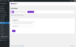 Page screenshot: Settings → SolidWP Licensing