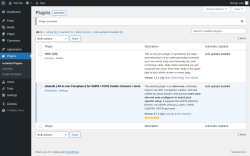 Page screenshot: Plugins &lsaquo; Test site &mdash; WordPress