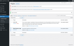 Page screenshot: Plugins &lsaquo; Test site &mdash; WordPress
