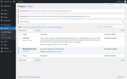 Page screenshot: Plugins &lsaquo; Test site &mdash; WordPress