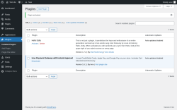 Page screenshot: Plugins &lsaquo; Test site &mdash; WordPress