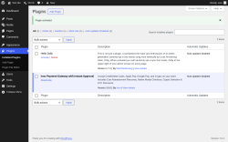 Page screenshot: Plugins &lsaquo; Test site &mdash; WordPress