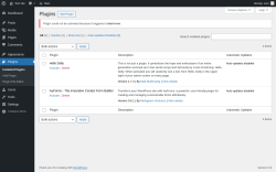 Page screenshot: Plugins &lsaquo; Test site &mdash; WordPress