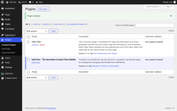 Page screenshot: Plugins &lsaquo; Test site &mdash; WordPress
