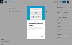 Page screenshot: Add New Post &lsaquo; Test site &mdash; WordPress