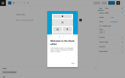 Page screenshot: Add New Page &lsaquo; Test site &mdash; WordPress