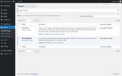 Page screenshot: Plugins &lsaquo; Test site &mdash; WordPress