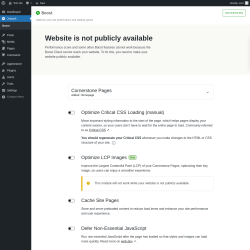 Page screenshot: Jetpack Boost - Settings &lsaquo; Test site &mdash; WordPress