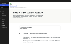 Page screenshot: Jetpack Boost - Settings &lsaquo; Test site &mdash; WordPress