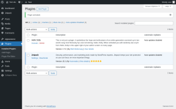 Page screenshot: Plugins ‹ Test site — WordPress