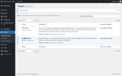 Page screenshot: Plugins &lsaquo; Test site &mdash; WordPress