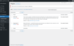 Page screenshot: Plugins &lsaquo; Test site &mdash; WordPress