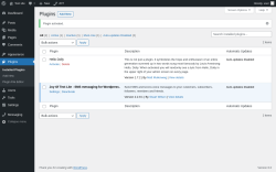 Page screenshot: Plugins &lsaquo; Test site &mdash; WordPress