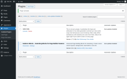 Page screenshot: Plugins &lsaquo; Test site &mdash; WordPress