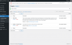Page screenshot: Plugins &lsaquo; Test site &mdash; WordPress