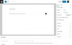 Page screenshot: Add New Post ‹ Test site — WordPress