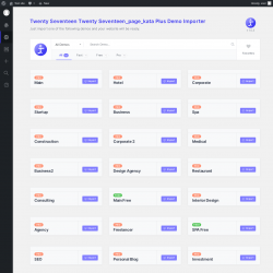 Page screenshot: Twenty Seventeen → Demo Importer