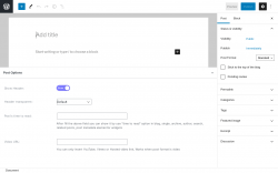 Page screenshot: Add New Post ‹ Test site — WordPress