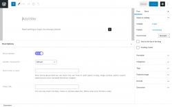 Page screenshot: Add New Post ‹ Test site — WordPress