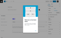 Page screenshot: Add New Post ‹ Test site — WordPress
