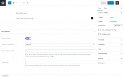 Page screenshot: Add New Post ‹ Test site — WordPress