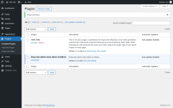 Page screenshot: Plugins &lsaquo; Test site &mdash; WordPress