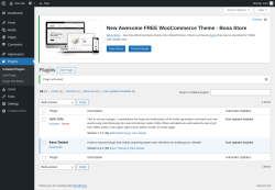 Page screenshot: Plugins &lsaquo; Test site &mdash; WordPress