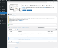 Page screenshot: Plugins &lsaquo; Test site &mdash; WordPress