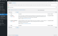Page screenshot: Plugins &lsaquo; Test site &mdash; WordPress