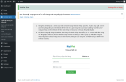 Page screenshot: KiotViet Sync