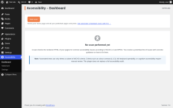 Page screenshot: Accessibility