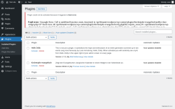 Page screenshot: Plugins &lsaquo; Test site &mdash; WordPress