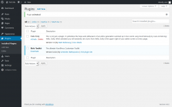 Page screenshot: Plugins &lsaquo; Test site &mdash; WordPress