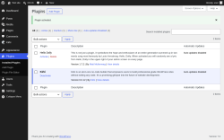 Page screenshot: Plugins &lsaquo; Test site &mdash; WordPress