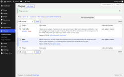 Page screenshot: Plugins &lsaquo; Test site &mdash; WordPress