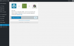 Page screenshot: kk Star Ratings &lsaquo; Test site &mdash; WordPress