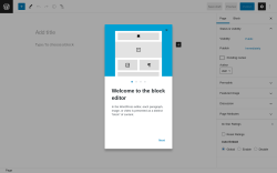 Page screenshot: Add New Page &lsaquo; Test site &mdash; WordPress