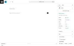 Page screenshot: Add Post &lsaquo; Test site &mdash; WordPress