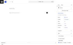 Page screenshot: Add Post &lsaquo; Test site &mdash; WordPress