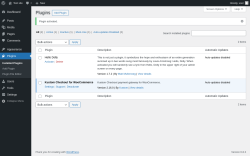 Page screenshot: Plugins ‹ Test site — WordPress