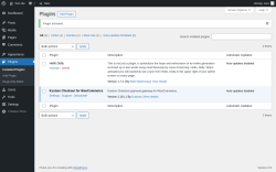 Page screenshot: Plugins ‹ Test site — WordPress
