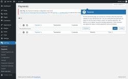 Page screenshot: Knit Pay → Payments