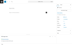 Page screenshot: Add Post ‹ Test site — WordPress