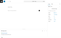 Page screenshot: Add Page ‹ Test site — WordPress