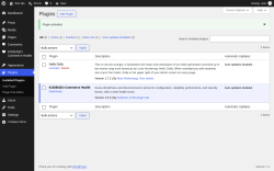 Page screenshot: Plugins &lsaquo; Test site &mdash; WordPress