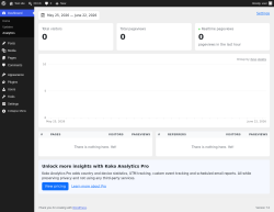 Page screenshot: Dashboard &rarr; Analytics