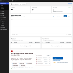 Page screenshot: Dashboard &rarr; Analytics