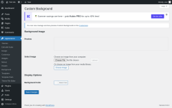 Page screenshot: Appearance → Background
