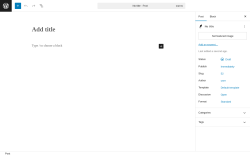Page screenshot: Add Post &lsaquo; Test site &mdash; WordPress